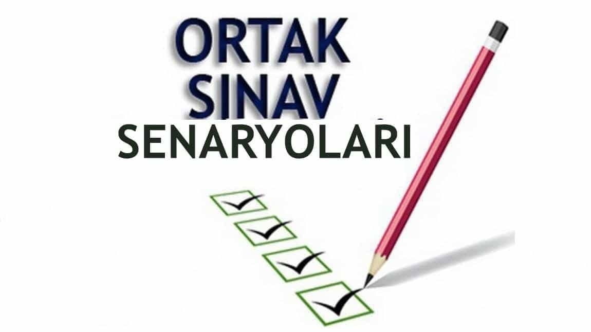 2024-2025 EĞİTİM ÖĞRETİM YILI 2. DÖNEM 2. ORTAK SINAV SENARYOLARI...